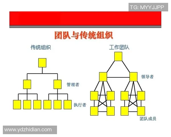 武汉篮球队防反体系解析:高效战术与团队协作的完美结合